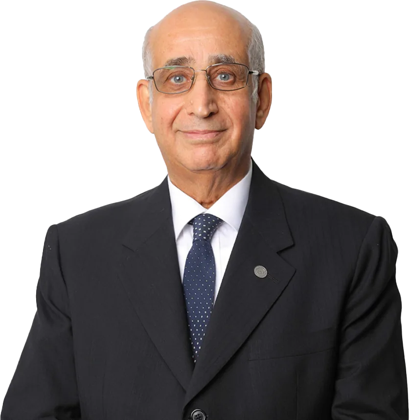 Hassanein Tawfiq - (Chairman)