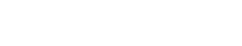 Forcepoint logo